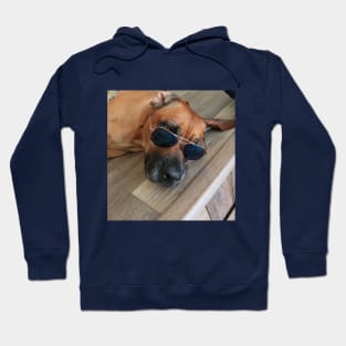 Chill Dog with Glasses Hoodie